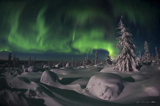 Levi: Aurora Borealis Tour and Stargazing Experience - Optional snowshoeing on the frozen lake