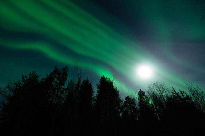 Levi: Aurora Borealis Tour and Stargazing Experience - Is $131.25 good value?