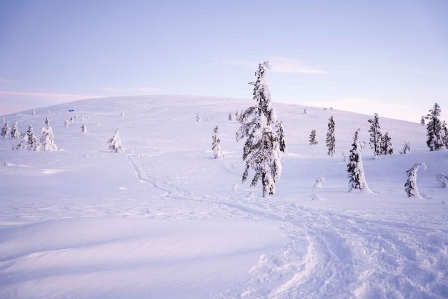 Levi: Backcountry Skiing Adventure - What kind of skiing you are signing up for