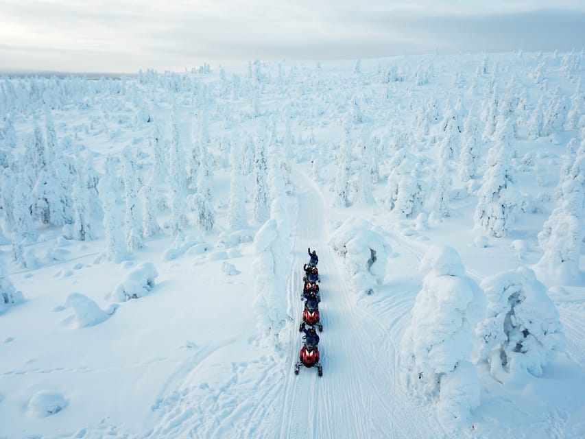 Levi: Easy Snowmobile Safari into the Nature - Who will enjoy this Levi safari most?