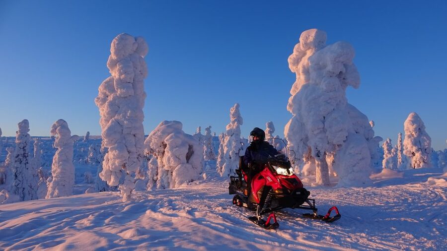 Levi: Evening Snowmobile Safari - Timing, cancellations, and useful preparation