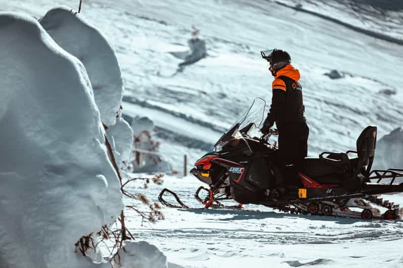Levi: Full Day Snowmobile Safari to Wilderness - Key points to know before booking