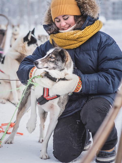Levi: Guide-driven Husky Safari - What the one-hour kennel visit really includes