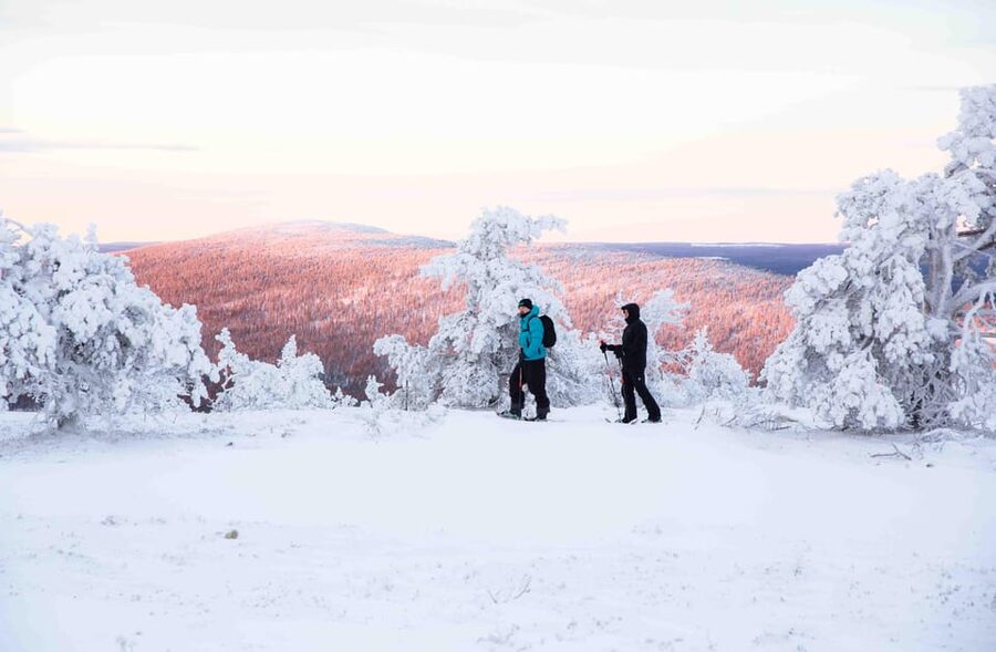 Levi: Guided Snowshoeing Adventure - Forests, frozen lakes, and hills in a two-hour window