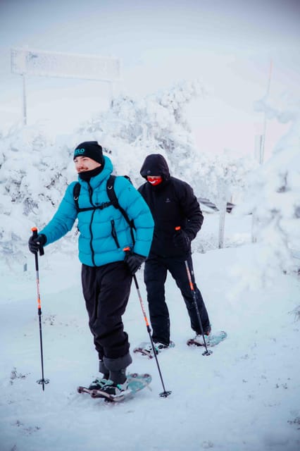 Levi: Guided Snowshoeing Adventure - Your first steps on snowshoes