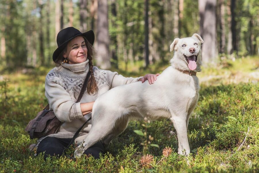 Levi: Horse and Husky Farm Visit with Juice and Cookies - Why the huskies are the heart of the visit