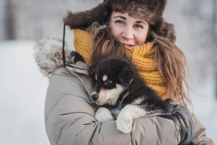 Levi: Horse and Husky Farm Visit with Juice and Cookies - Meeting Finnish horses and domestic reindeer