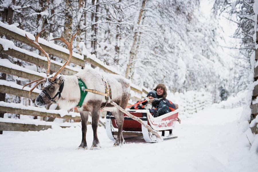 Levi: Husky and Reindeer Farm Visit with Snowmobiling - Key points to know before booking