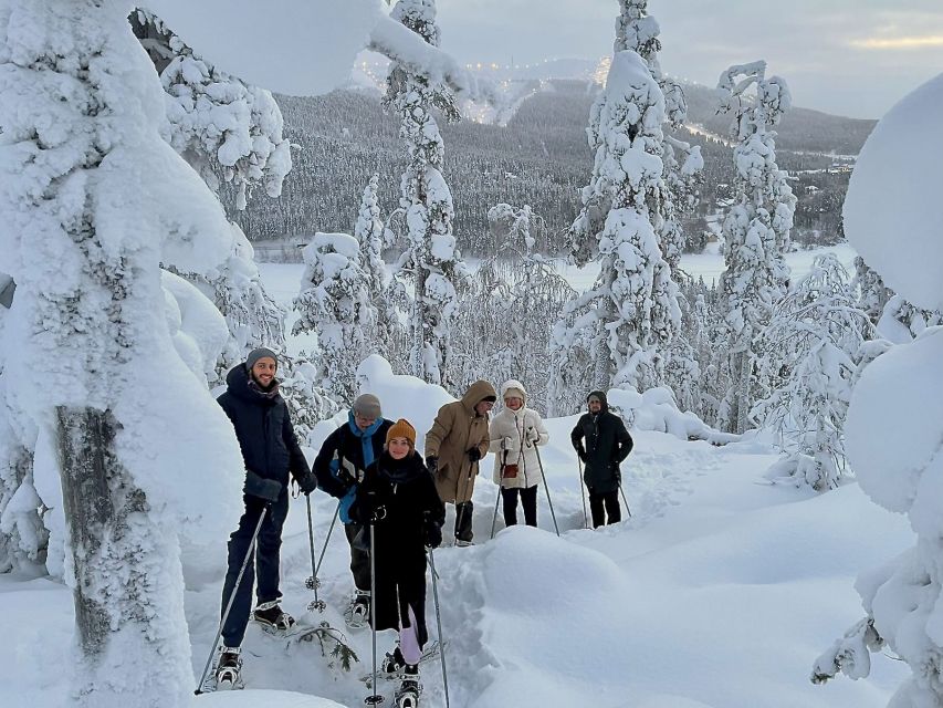 Levi: Lakeside forest snowshoeing - Key points to know before you go