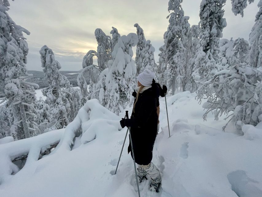 Levi: Lakeside forest snowshoeing - How this compares with a regular Levi walk