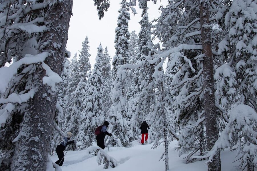 Levi: Lakeside forest snowshoeing - The short van ride to Sirkka
