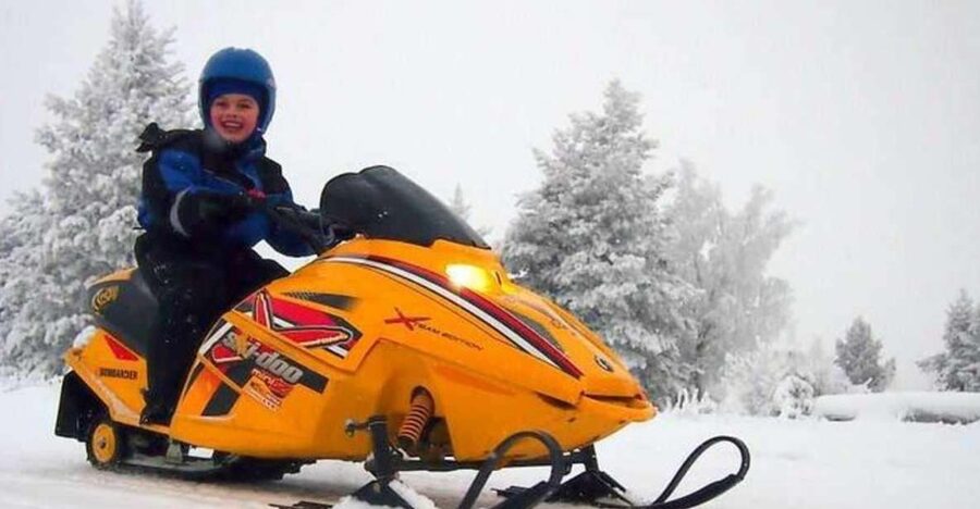 Levi: Lapland Family Snowmobile Safari - The adult route through forest and open snow