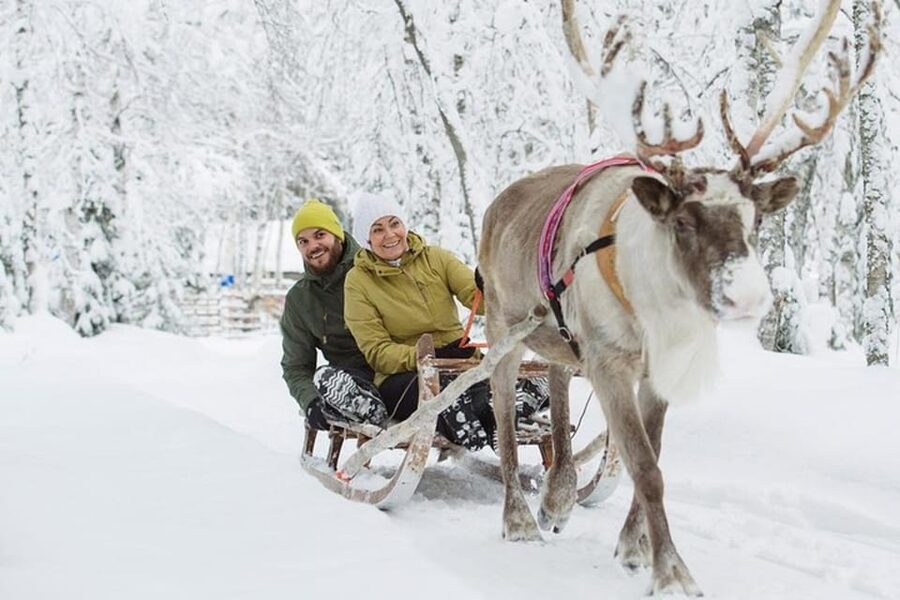 Levi: Lapland Reindeer and Husky Safari - Key points to know before booking