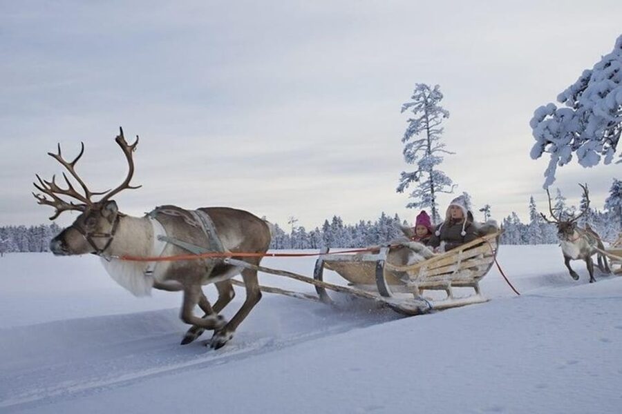 Levi: Lapland Reindeer and Husky Safari - Dress for the cold, not the photograph