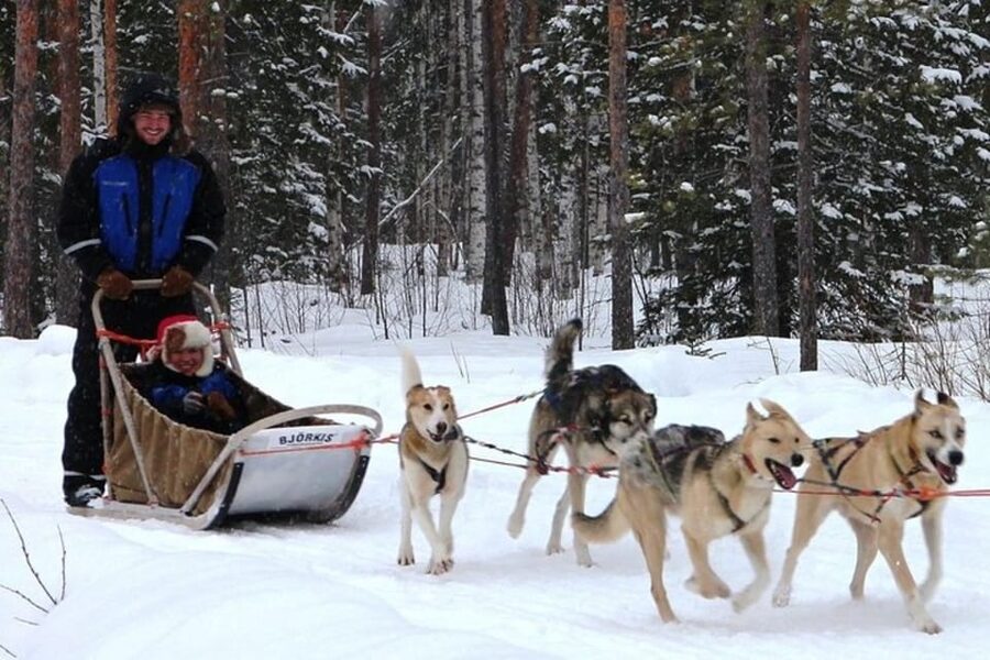 Levi: Lapland Reindeer and Husky Safari - Who will enjoy this safari most