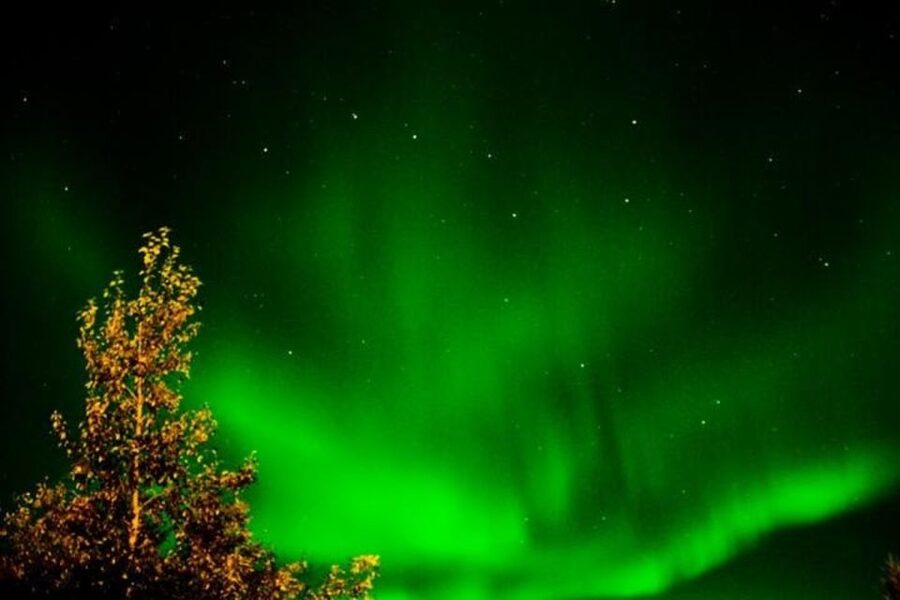 Levi: Northern Lights Hunt Including Campfire Snacks - Should you book the Levi Northern Lights campfire tour?