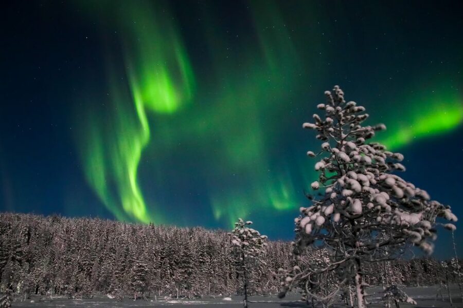 Levi: Northern Lights Hunting Photo Tour - How large is the group?