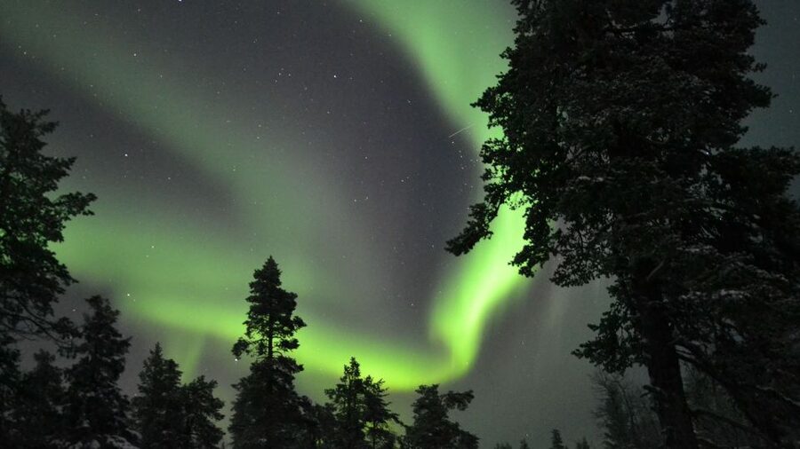 Levi: Northern Lights Snowmobile Tour with Snacks and Drinks - Is $199 a fair price?