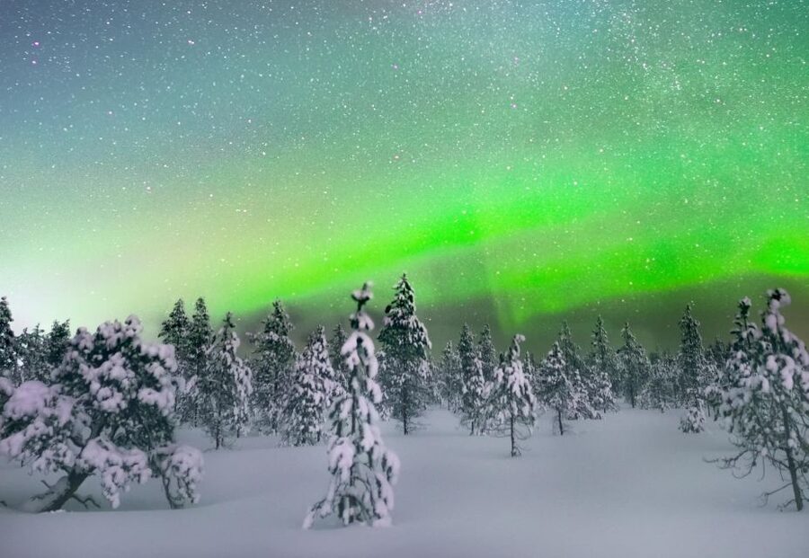 Levi: Northern Lights Snowmobile Tour with Snacks and Drinks - Children, safety, and comfort