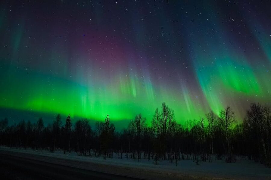 Levi: Northern Lights Tour with Guaranteed Sightings - Who should book, and who should choose a shorter outing