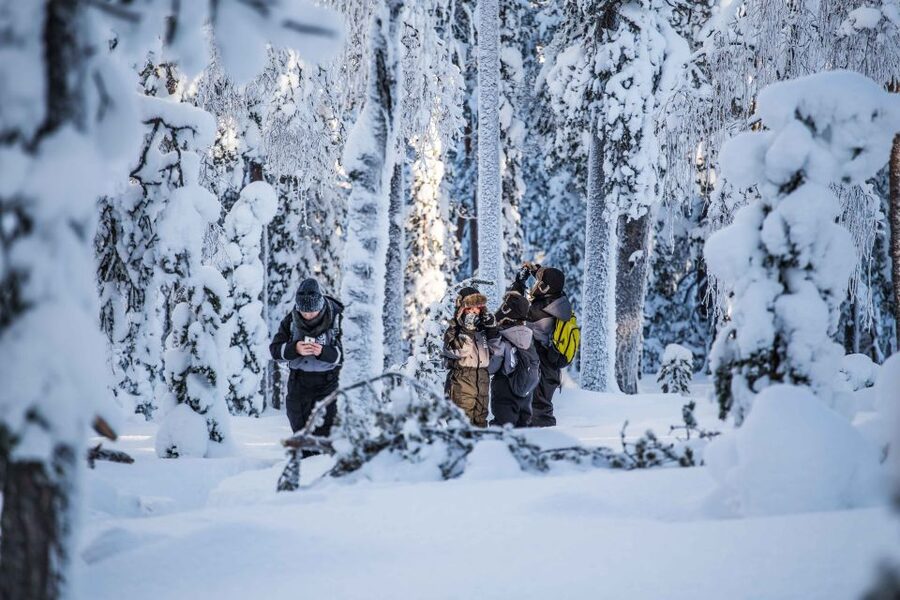 Levi: Pallas National Park Adventure with Pro Photos & BBQ - Why the Photography Focus Matters