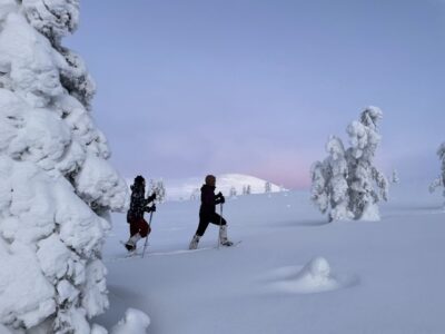Pallas-Yllästunturi National Park Snowshoeing Tour