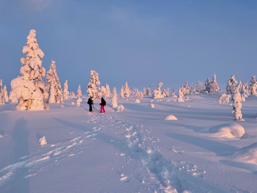 Levi: Pallas-Yllästunturi National Park Snowshoeing Tour - Is the $187 price good value?