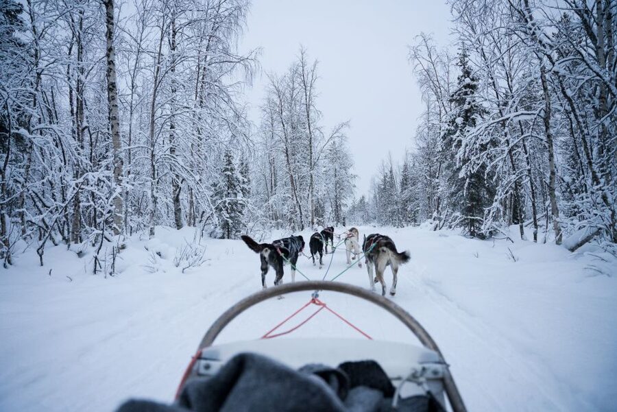 Levi Polar Lights Tours: Arctic Circle Guided Husky Tour - What the one to two hours actually includes