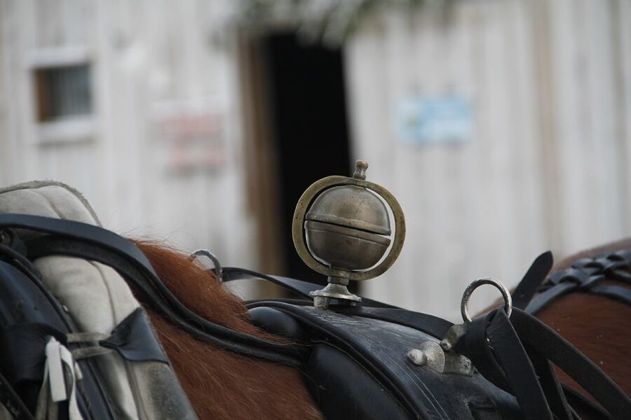 Levi, Polar Lights Tours: One Horse Open Sleigh Ride - Key points to know before you book