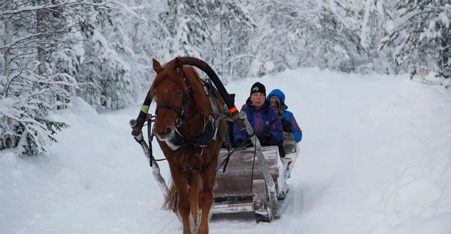 Levi, Polar Lights Tours: One Horse Open Sleigh Ride - From Hissitie 11 to the snowy trail