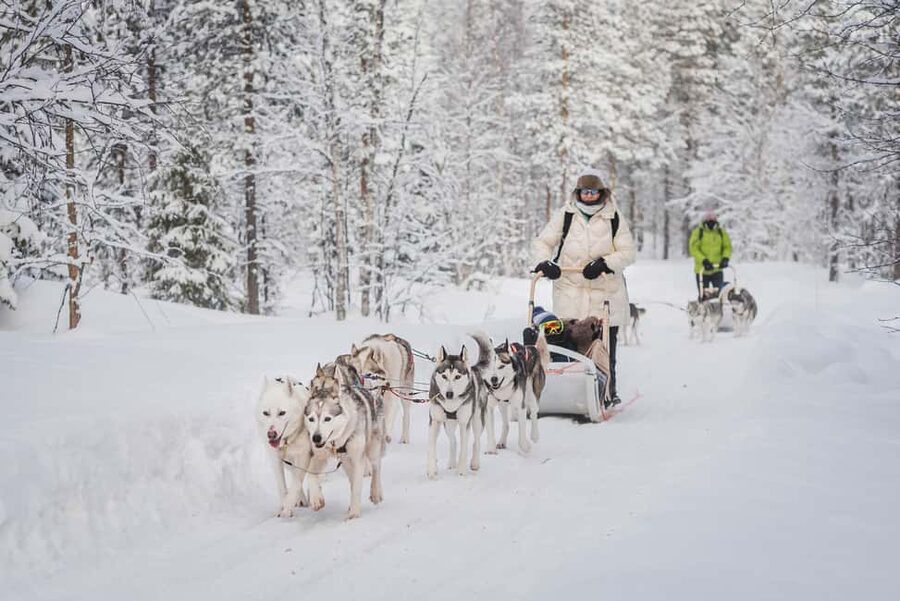 Levi Polar Lights Tours: Path of the Gnome Husky Safari 15km - Getting ready for the dogs and the trail
