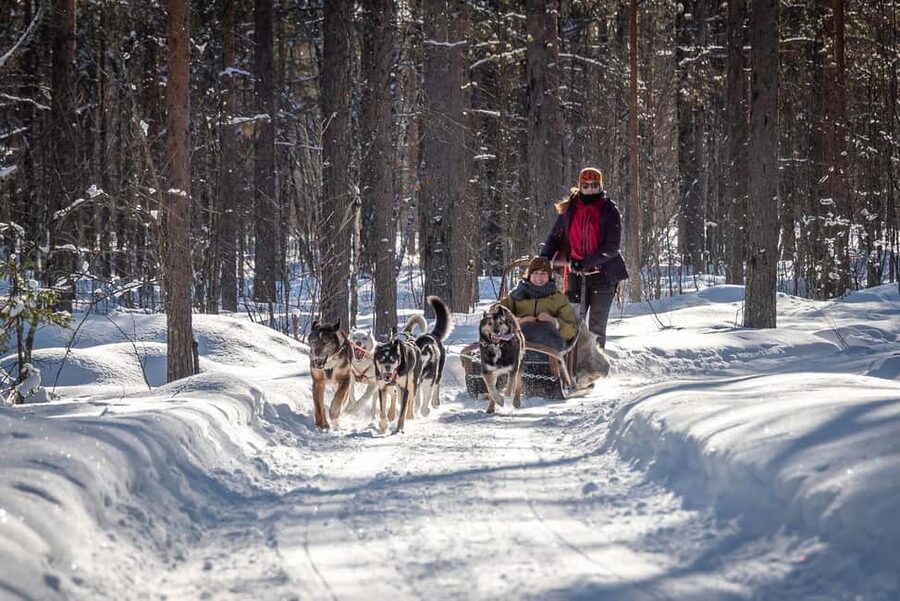 Levi Polar Lights Tours: Reindeer and Husky Taster - Key points at a glance