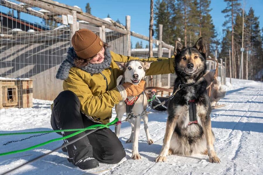 Levi Polar Lights Tours: Reindeer and Husky Taster - Is $153 a fair price?
