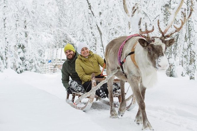 Levi Reindeer Safari - Long or Quick - with Sledge Ride - Weather, Snow, and Animal Behavior