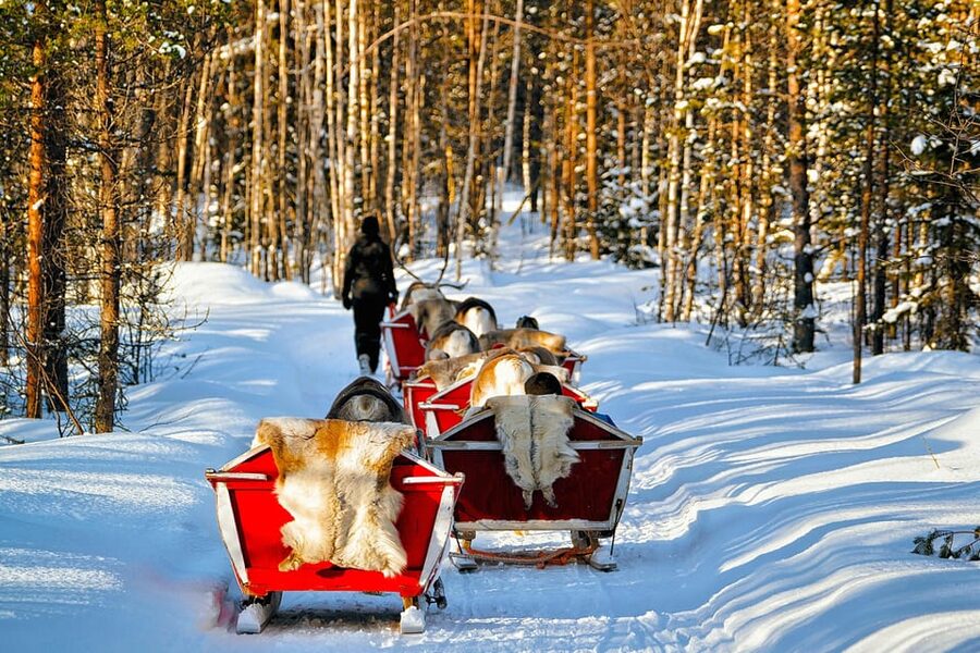 Levi: Reindeer Sleigh Ride Tour in Snowy Forest - The campfire is more important than it sounds