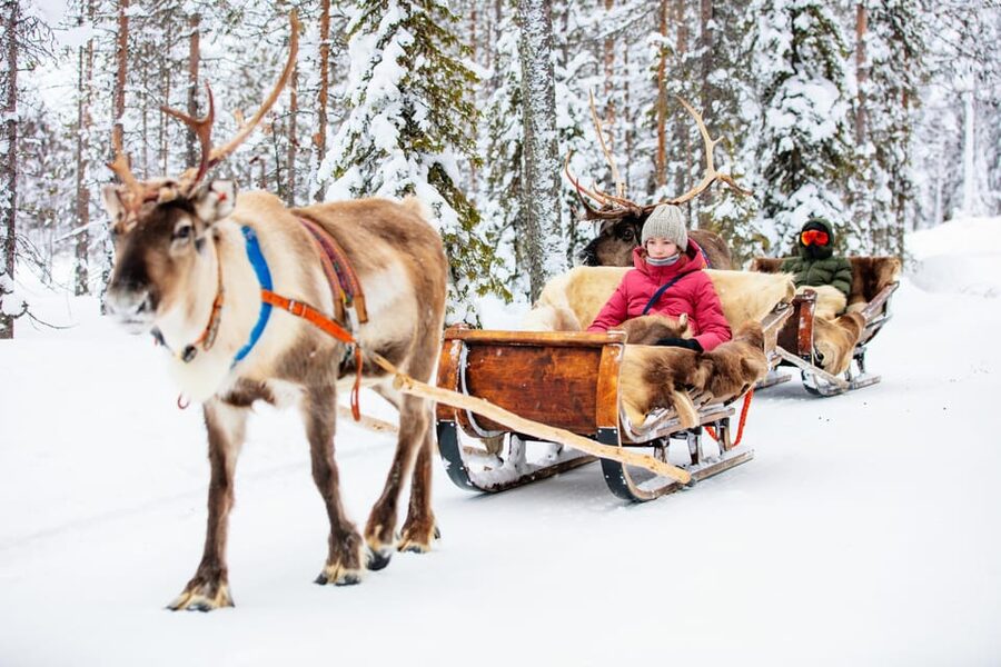Levi: Reindeer Sleigh Ride Tour in Snowy Forest - Should you book the Levi reindeer sleigh ride?