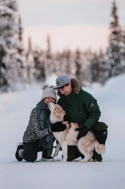 Levi: Self-Drive 2 KM Husky Sledding Experience - A short husky run with a hands-on feel