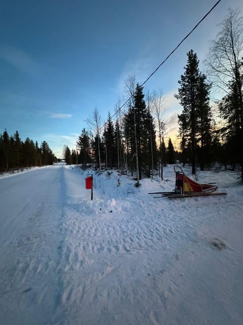 Levi: Self-Drive 2 KM Husky Sledding Experience - The dogs are the real reason to linger