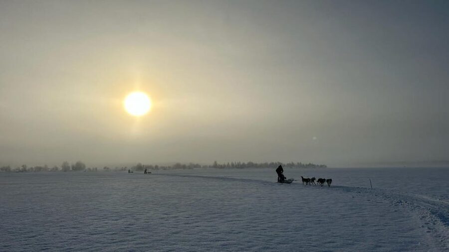 Levi: Self-Drive 5 KM Husky Sledding Experience - Taking the Controls at a Small Husky Farm