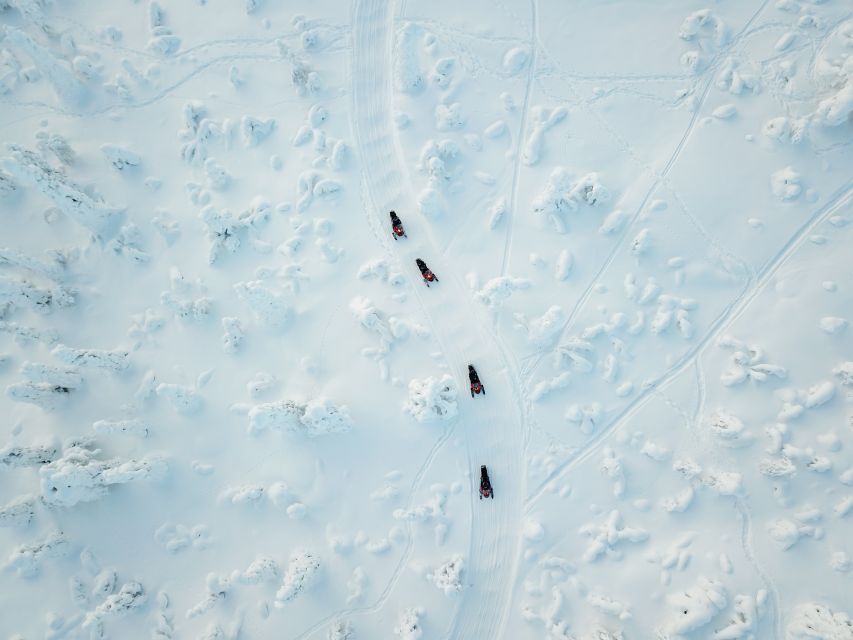 Levi: Snowmobile Safari for Adults - Forest tracks, lake views, and the value of quiet