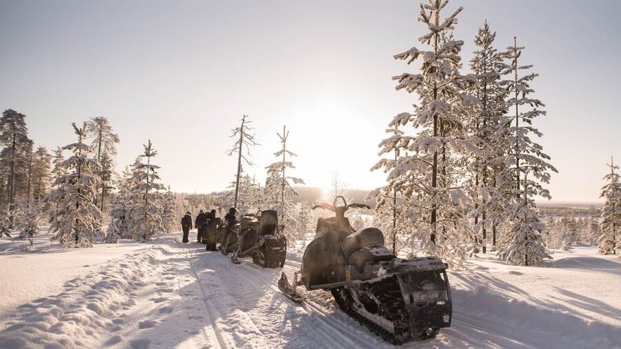 Levi: Snowmobile Safari to the Levi Nature - Who will enjoy this most