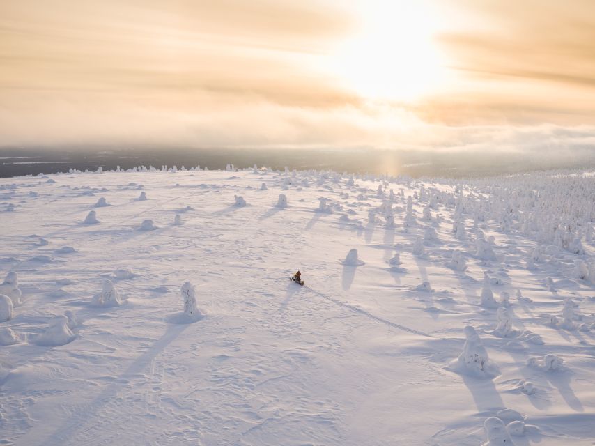 Levi: Snowmobiling Adventure - Following the forest trail from Levi
