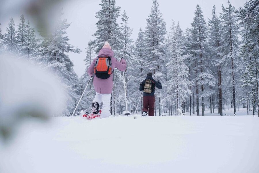 Levi: Snowshoe Adventure in the Wilderness - Booking details that matter in Levi