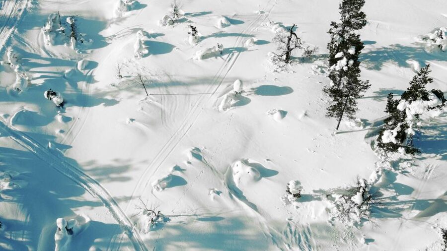 Levi: Snowshoe Adventure in the Wilderness - Leaving Sirkka for the snowy forest