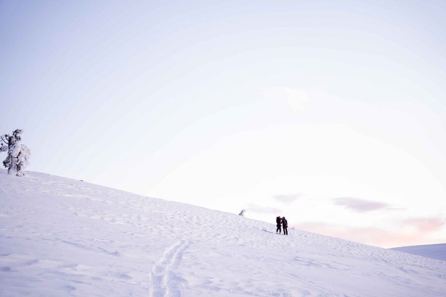 Levi: Snowshoe Adventure in the Wilderness - Who should book this Levi snowshoe trip?