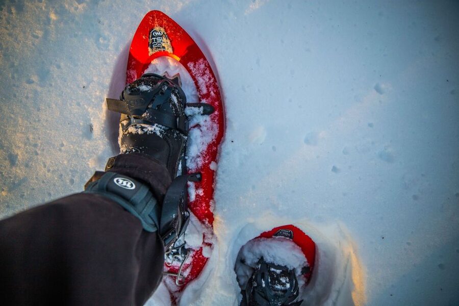 Levi: Snowshoe Adventure in the Wilderness - Learning to walk on snowshoes