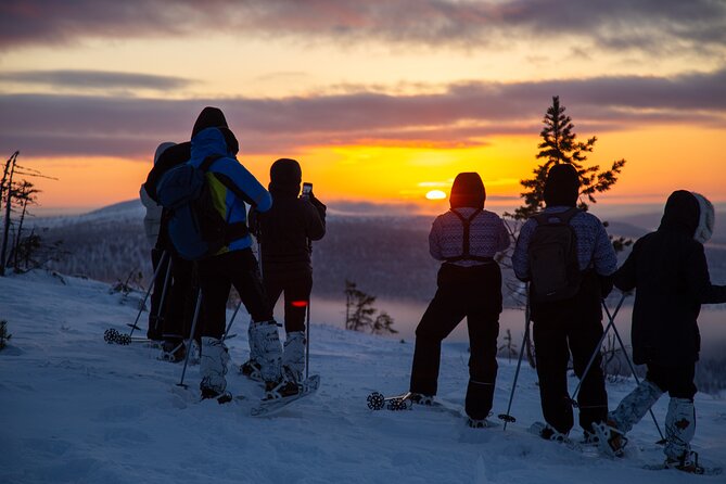 Levi: Snowshoeing adventure in the National Park - From Levi to Pallas in about 45 minutes
