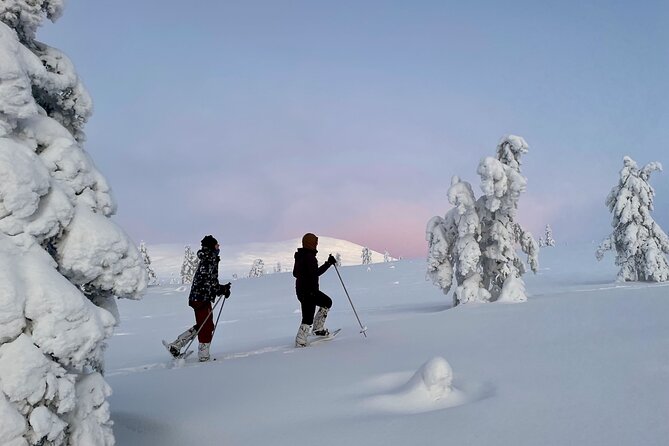 Levi: Snowshoeing adventure in the National Park - A one-hour lunch beside the campfire