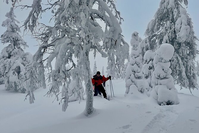 Levi: Snowshoeing adventure in the National Park - Who will enjoy this outing most?