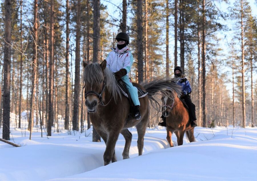 Levi: Snowy Forest Ride and Polar Lights Tours - Key points to know before booking